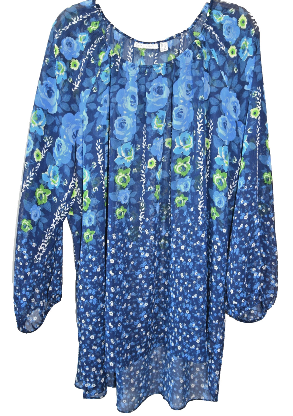 Susan Graver Sheer Blue Floral Cottage Core Top Long Sleeve Boho Blue Plus 2X